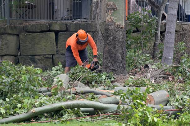 Best Commercial Tree Services  in Brookneal, VA